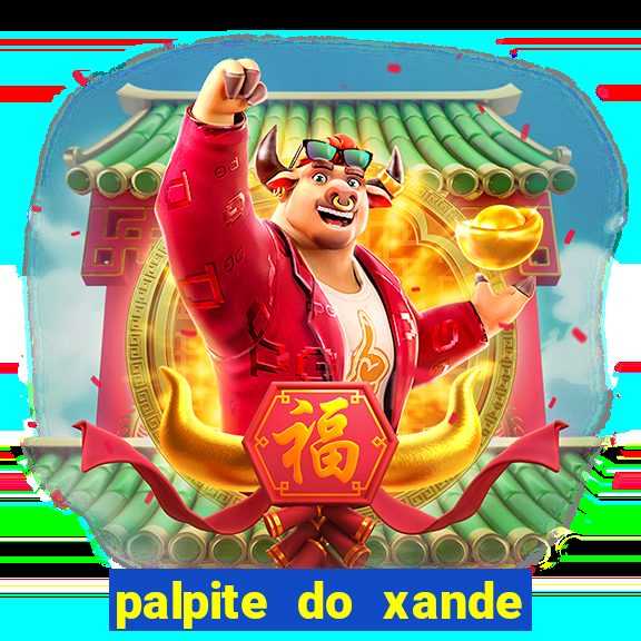 palpite do xande de hoje